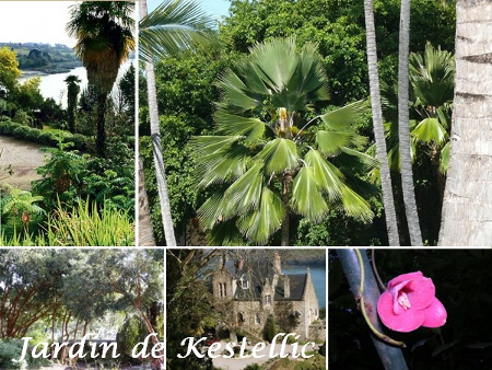 Kestellic